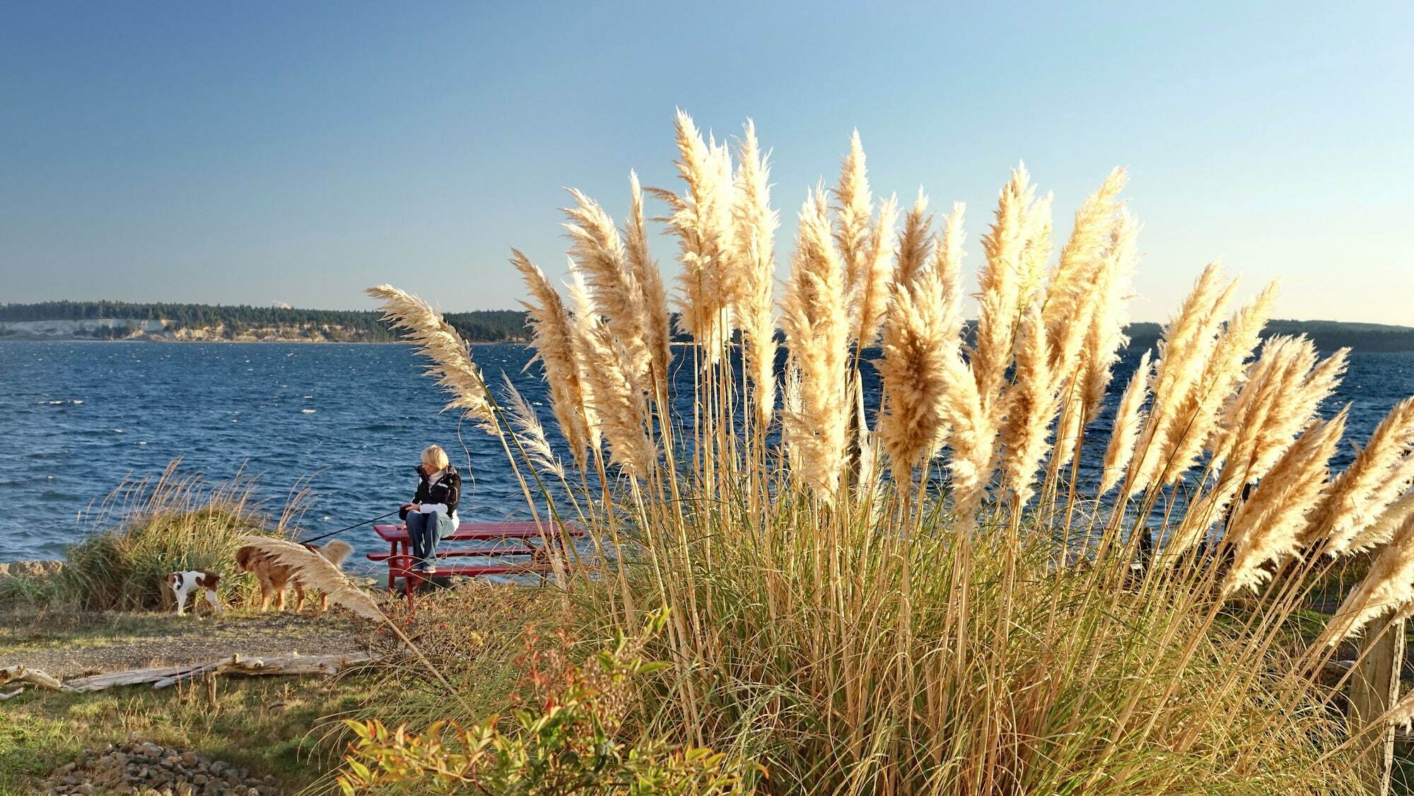 Tides Inn & Suites Port Townsend Kültér fotó